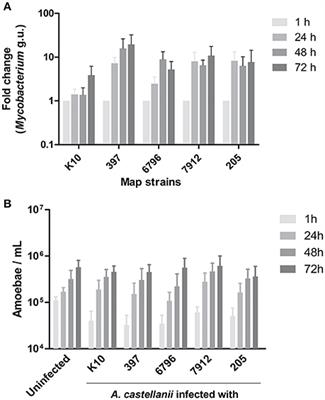 Environmental Mycobacterium avium subsp. paratuberculosis Hosted by Free-Living Amoebae